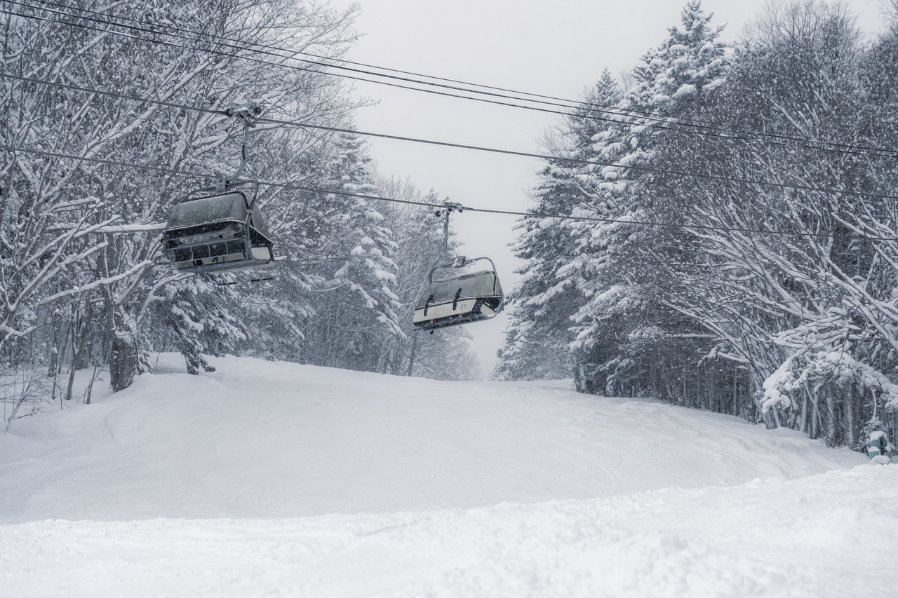 富良野スキー場｜数字以上に良い雪たっぷり！いよいよ『bonchi powder』本領発揮の季節到来です！